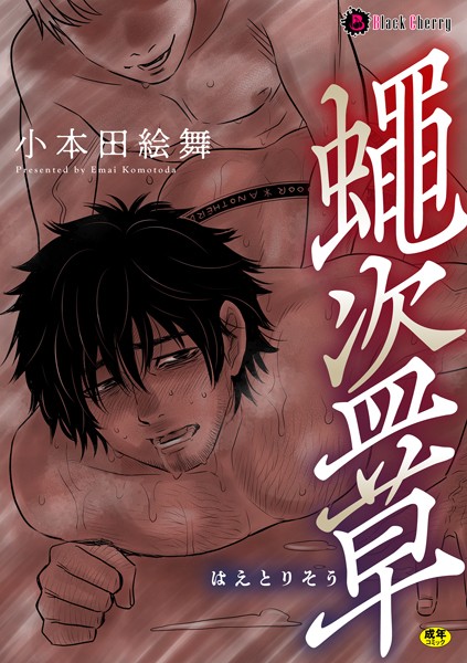 Thumbnail of post image 027